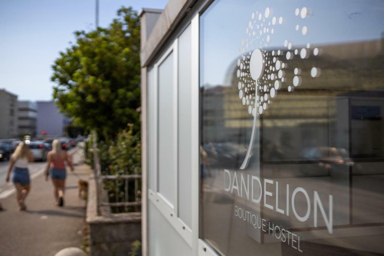 Dandelion Vandrarhem Zadar Exteriör bild