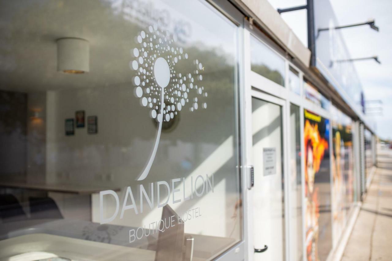 Dandelion Vandrarhem Zadar Exteriör bild